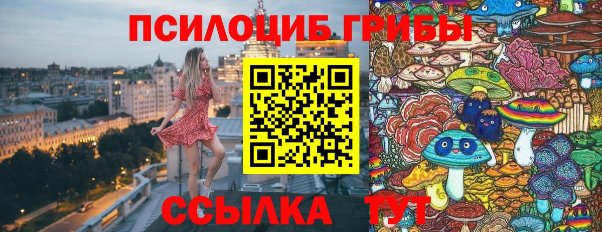 Галлюциногенные грибы ЛСД  Вход с VPN  Пенза  Галлюциногенные грибы MAGIC MUSHROOMS 